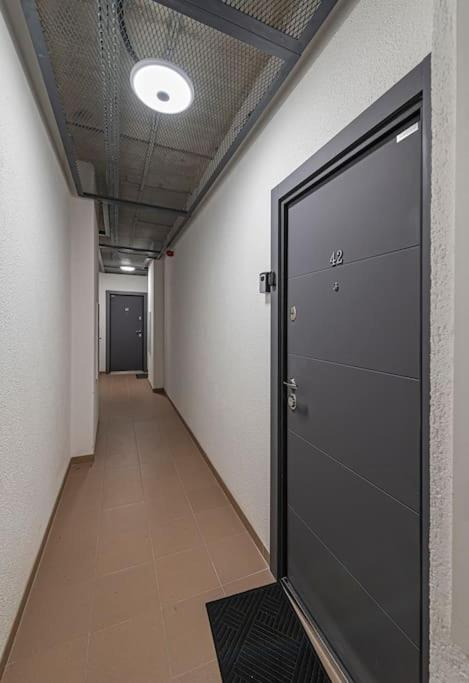 Lovely 1Bd Central Apartment By Hostlovers カウナス エクステリア 写真